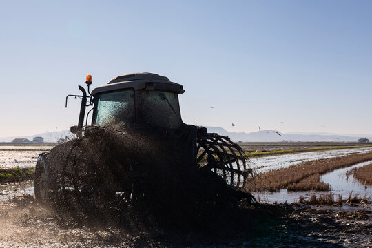 Tractor plowing the field