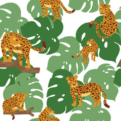 Seamless pattern leopard leave montera pink color for background