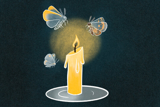 Fall moths around a candle