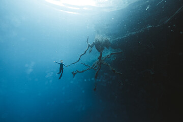 earth, water and humans are all connected