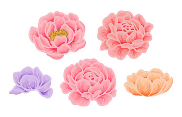 Colorful soft pastel hand drawn rose and peony flower vector clip art illustration collection