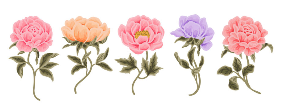Colorful hand drawn wildflower, rose, peony flower, and leaf branch vector clip art illustration collection	