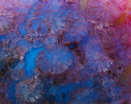 Coral skeleton fossil crystal jade agate flower pattern detail