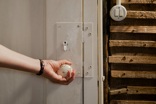 the door