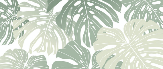 Abstract foliage botanical background vector. Green and white color wallpaper of tropical plants, monstera, leaf branches, leaves. Foliage design for banner, prints, decor, wall art, decoration.