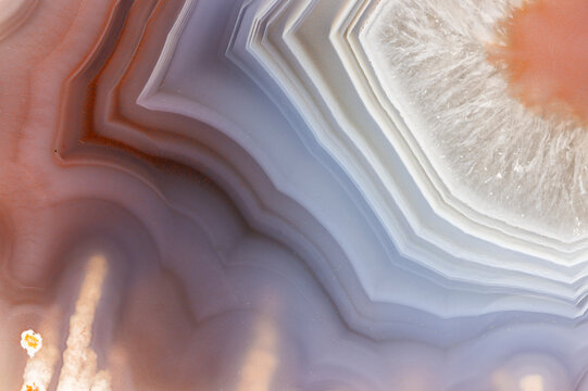 Banding Mozambican Agate Closeup  