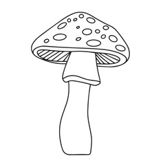 Mushroom in doodle style. Harvest decor outline hand drawn vector illustration.