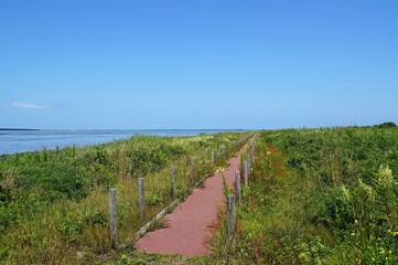 Fototapeta na wymiar Path in Cape Kimuaneppu