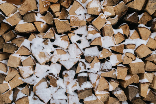 Wooden Logs in the Snow