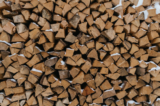 Wooden Logs in the Snow