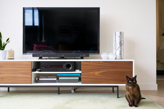 TV unit on cabinet with cat