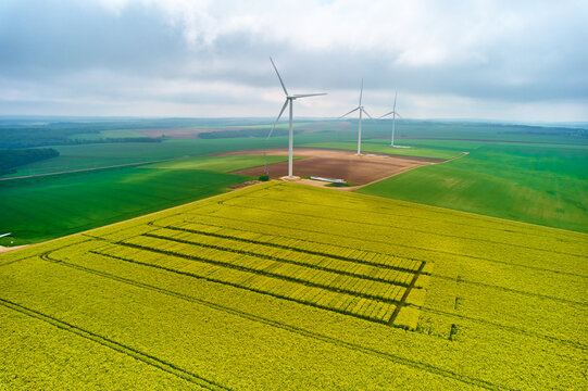 Wind farm & canola crop for biofuel energy Sustainable Aviation Fuels