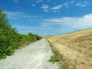 晩夏の除草された江戸川土手と河川敷の砂利道風景