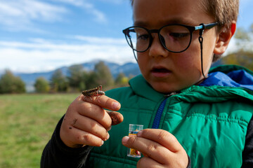 kid looking at cricket outdoor
