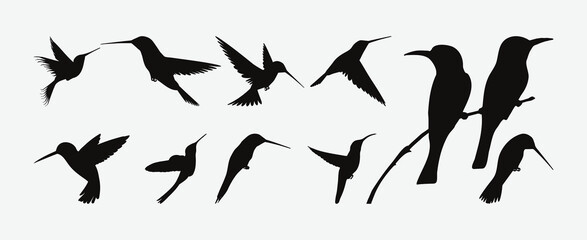 Graceful Hummingbird Silhouettes, A Captivating Collection of Avian Elegance in Flight