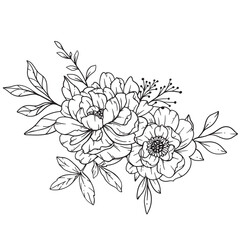 Peony  Line Art, Fine Line Peony Bouquets Hand Drawn Illustration. Coloring Page with Peony Flowers. 