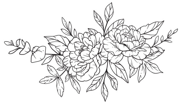 Peony  Line Art, Fine Line Peony Bouquets Hand Drawn Illustration. Coloring Page with Peony Flowers. 