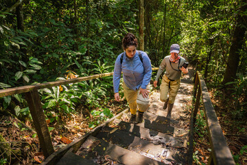 Friends going up the stairs in nature