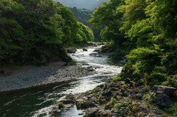 Beautiful stream river in the nature