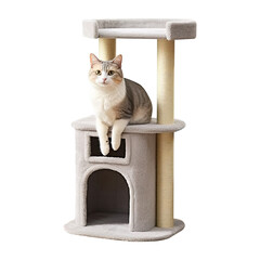 Cat tower for pet shop. Isolated on transparent background