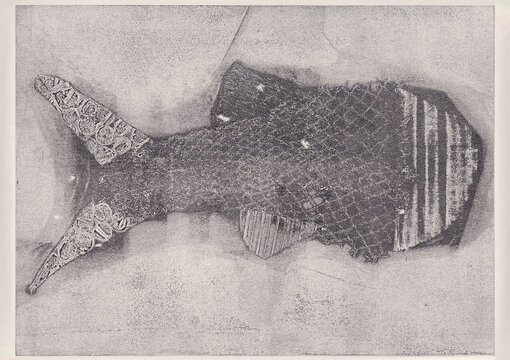 Fossil Fish mono print made with household plastics