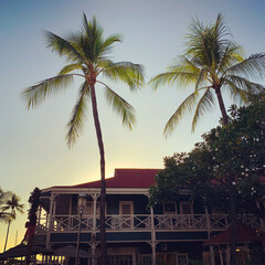 A view of the historic Pioneer Inn through palm trees in the historic whaling town of Lahaina Maui Hawaii at sunset