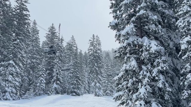 Handheld shot of a beautiful winter scene of a ski resort lift with people sitting on it passing by surrounded by white snow covered pine trees after a snow storm in Utah on a cold overcast day.