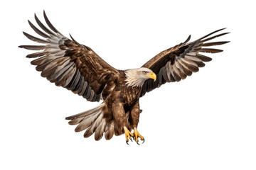 Photorealistic Eagle in Flight on transparent Generative AI