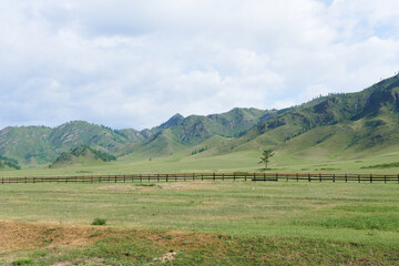 Mountain landscape with grassland and wooden fence in summer, Mongolia