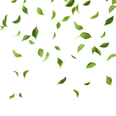 Flying green leaves on transparent background. Generative ai design concept.