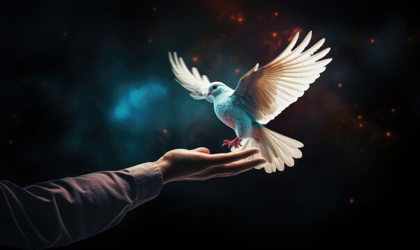 Hand and flying dove The concept of hope for a world