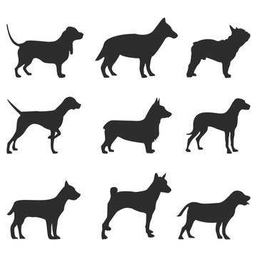 Set of vector silhouettes of dogs