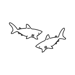 vector illustration of two sharks