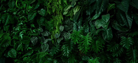 abstract green leaf texture, tropical leaf foliage nature dark green background	