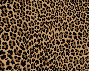 Vector leopard pattern seamless background and printing or home decorate and more.