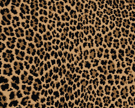 Vector leopard pattern seamless background and printing or home decorate and more.