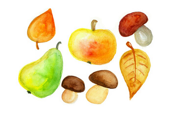 Autumn set of various objects drawn in watercolor on a white background. Dry leaves, apple, pear, various mushrooms. Orange, yellow, ocher, brown and green colors. Different shades. Realistic drawing.