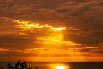 panoramic background of high mountain scenery, overlooking the atmosphere of the sea, trees and wind blowing in a cool blur, spontaneous beauty