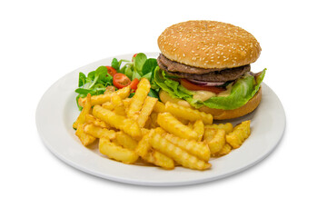 Hamburger with fries and vegetables