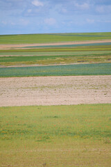 Obraz premium View of different cultivated fields