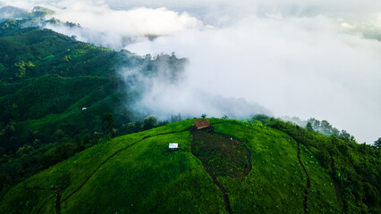 Lost in the clouds, found in serenity