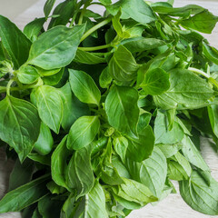 fresh basil leaves