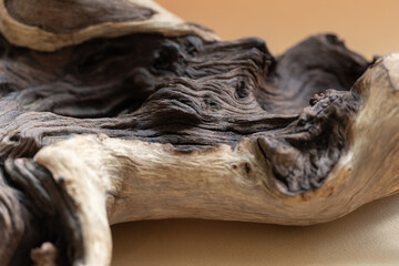 Beautifull texture of wooden snag as a backgroundv