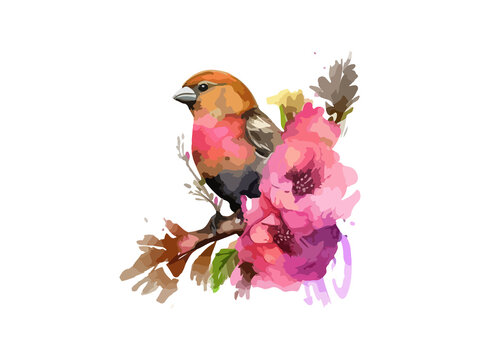Watercolor Red crossbill bird sparrow vector illustration Realistic hand drawn Painting, On branches decorated by leaves and flowers,