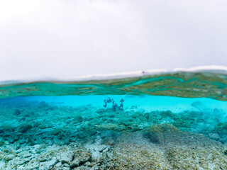 美しい無人島嘉比島ビーチの白い砂浜、ダイバーの半水面撮影
沖縄県島尻郡慶良間諸島座間味島嘉比島
