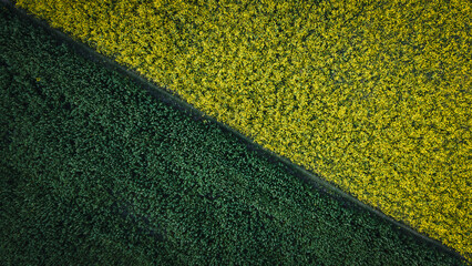 The future will either be green or not at all