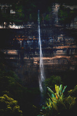 Water your roots so your soul can blossom