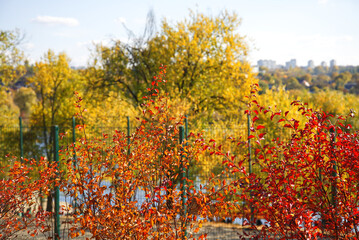 Autumn recreation park Petrenko next to the Petrenkovsky quarry