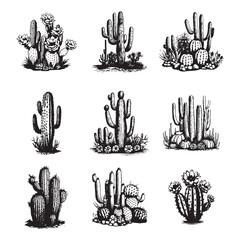 Cactus hand drawn vector set © fitradp