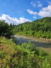 Fototapeta na wymiar stryi river in the carpathians mountains